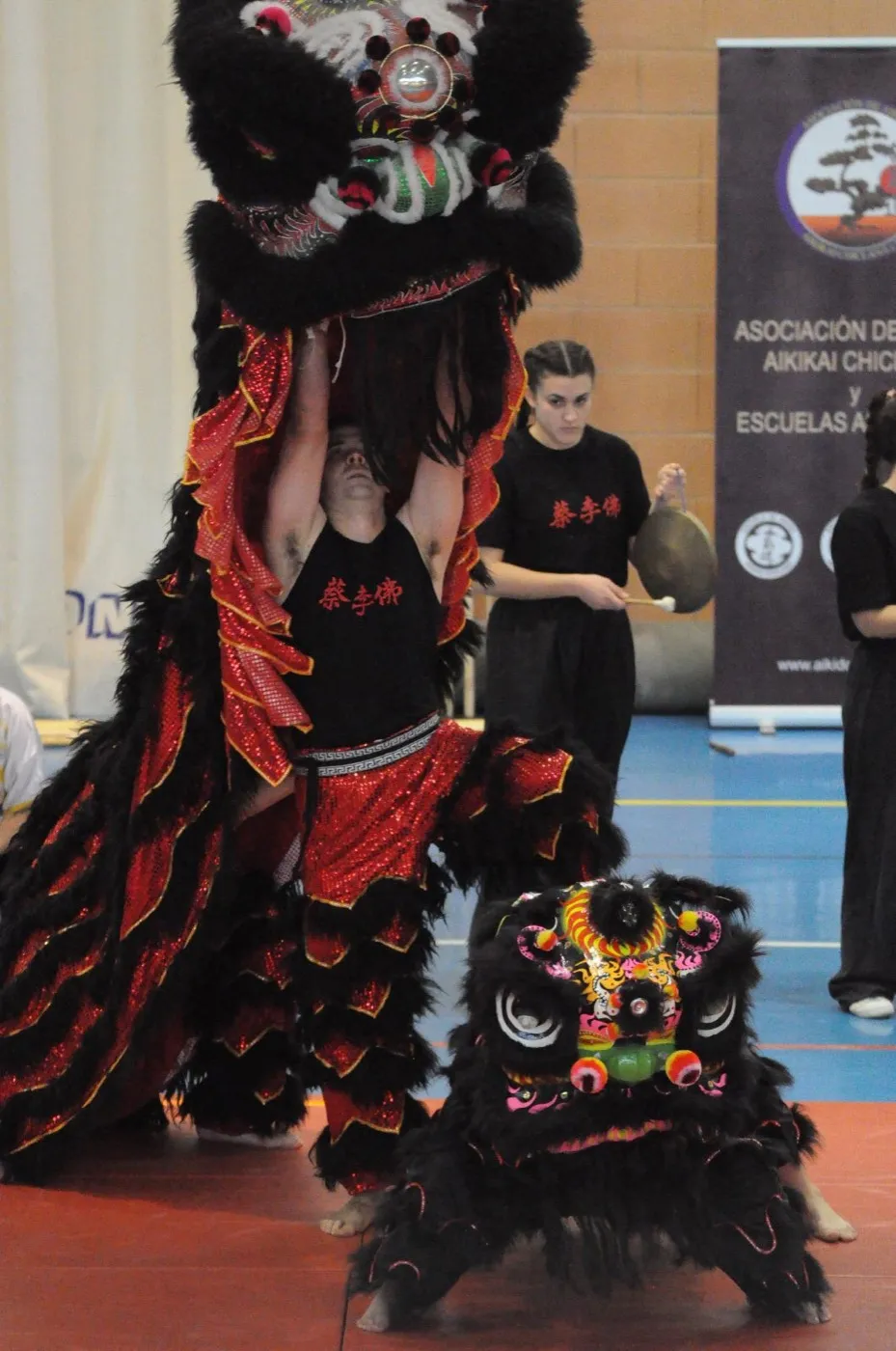 Danza del león de la escuela en una exhibición Danza del león de la escuela en una exhibición