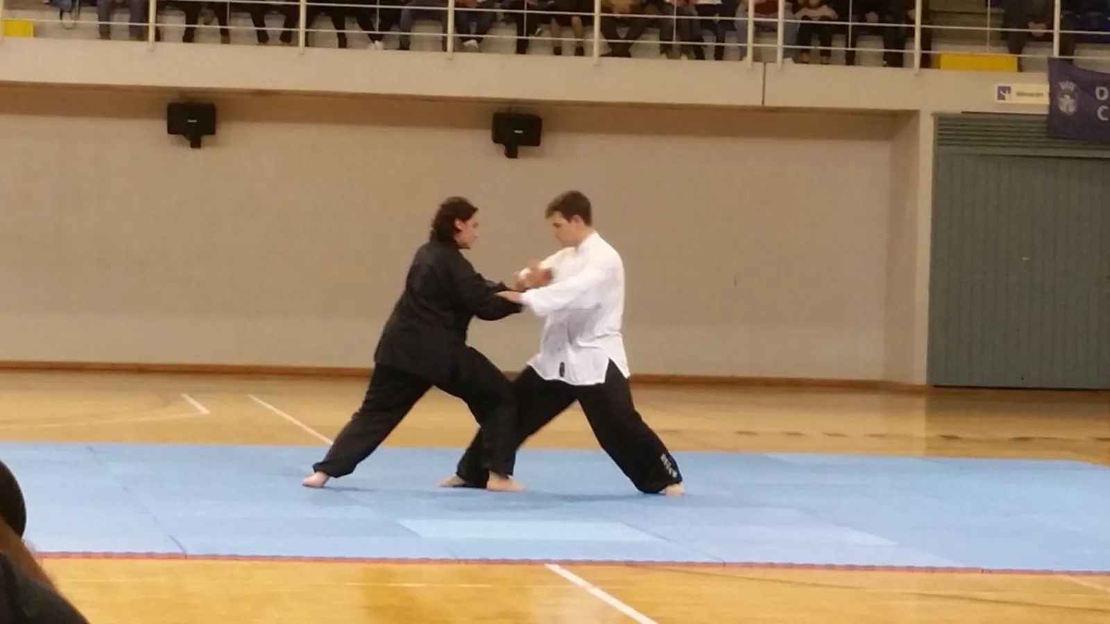 Técnica por parejas en una gala de artes marciales